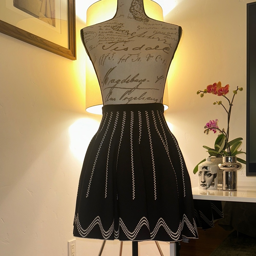 Alaia Glacier Black and White Skater Skirt